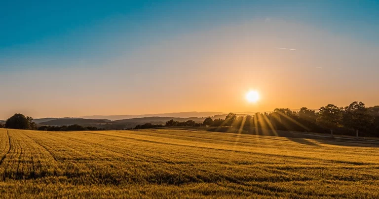 قانون جذب چیست و چطور می توانیم از آن به سود خود استفاده کنیم؟